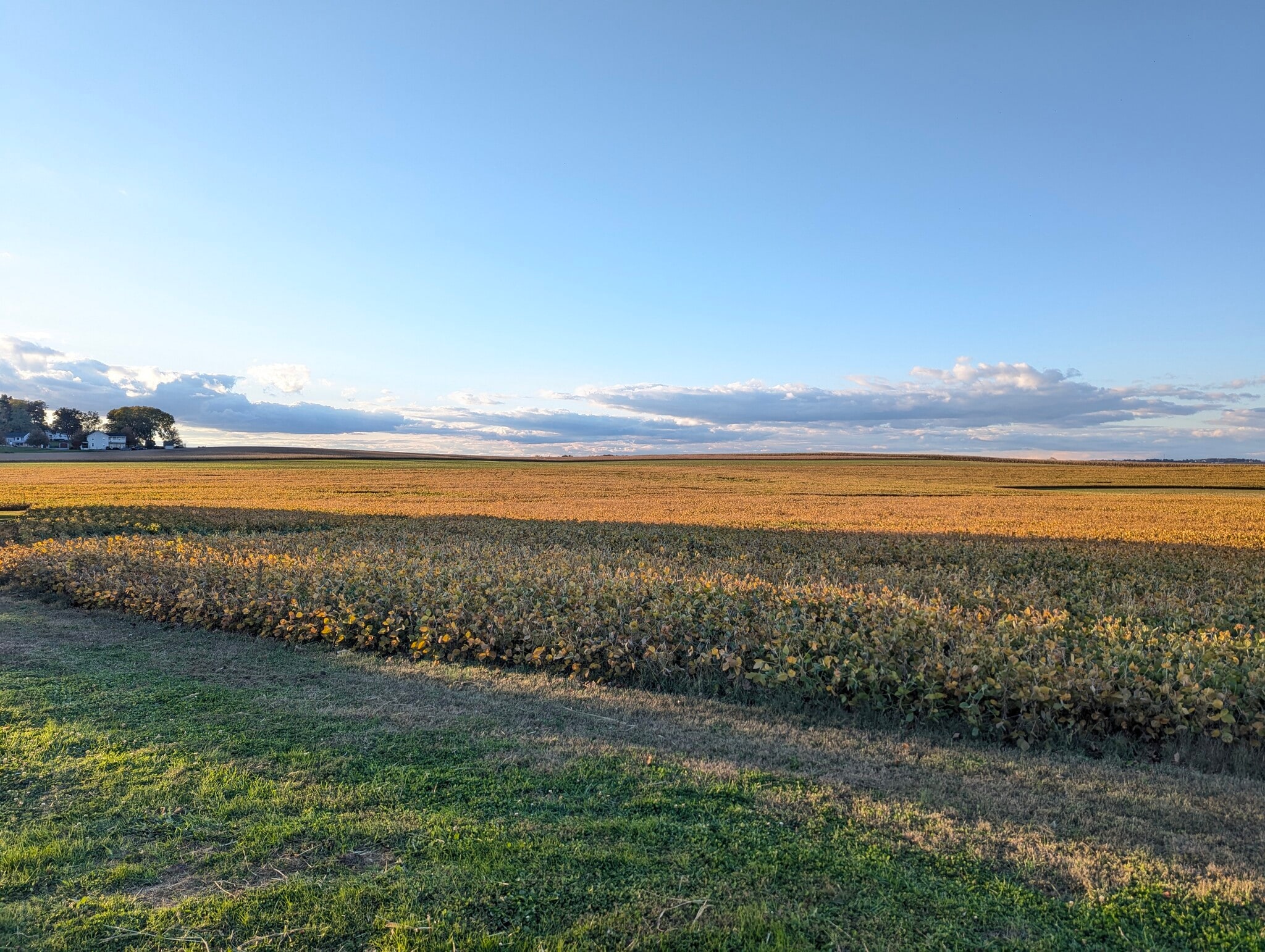 Marietta Ave, Columbia, PA for Sale