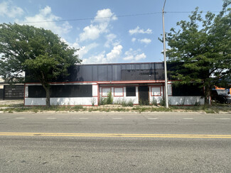 Detroit, MI undefined - 13118 Dexter Ave