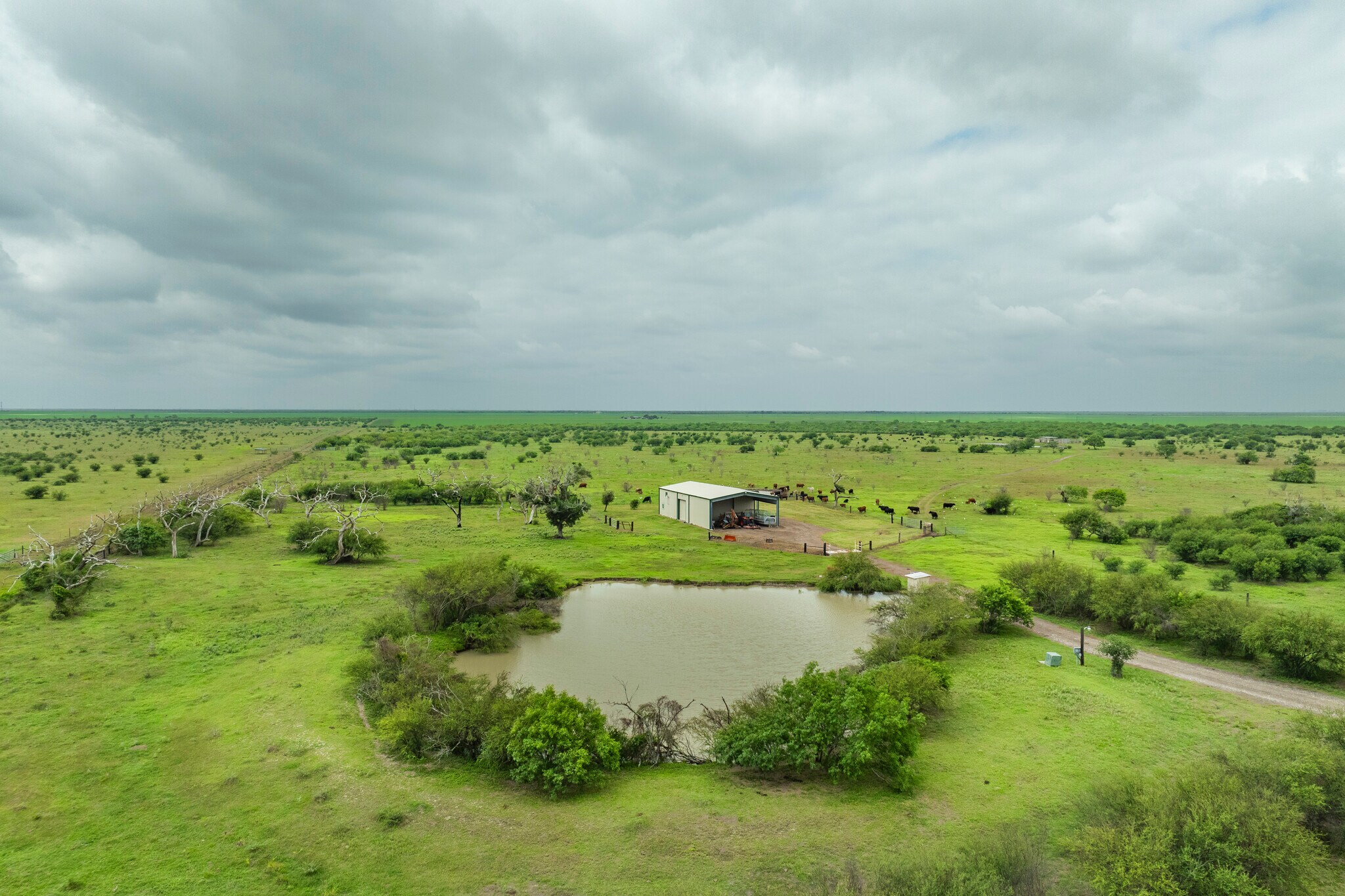 1038 FM 1360, Woodsboro, TX for Sale