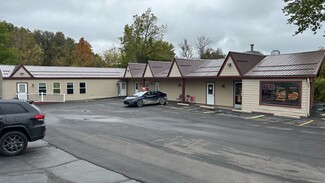 Pinckney, MI Retail - 1212 E M-36