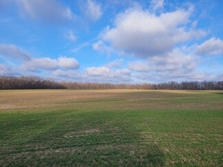 Middletown, MO Agricultural - Bales Rd. (81.80+/- Acres)