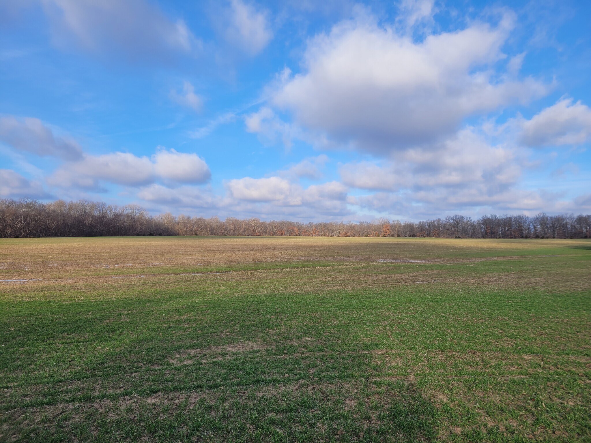 Bales Rd. (81.80+/- Acres), Middletown, MO for Sale