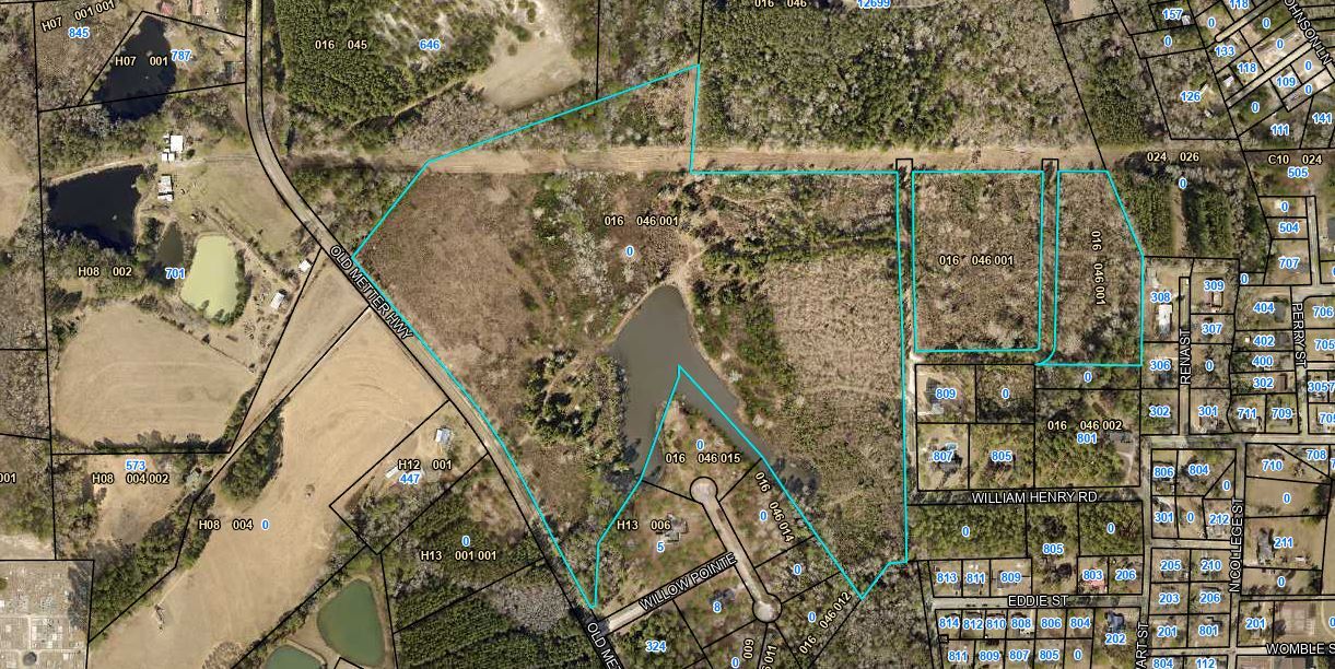 447 Old Metter Hwy, Claxton, GA for Sale