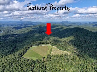 Zirconia, NC Commercial Land - 781 Payne dr