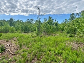 Taylorsville, GA Residential - Satcher Road #4 Rd