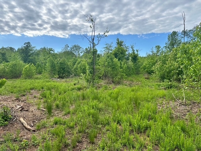 Satcher Road #4 Rd, Taylorsville, GA for Sale