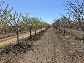 Firebaugh, CA Agricultural - N. side of W. Nees W. of N. Fairfax Ave.