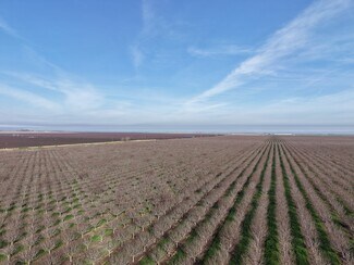 Firebaugh, CA Agricultural Land - Shaw Avenue Firebaugh, CA Agricultural Land - Shaw Avenue