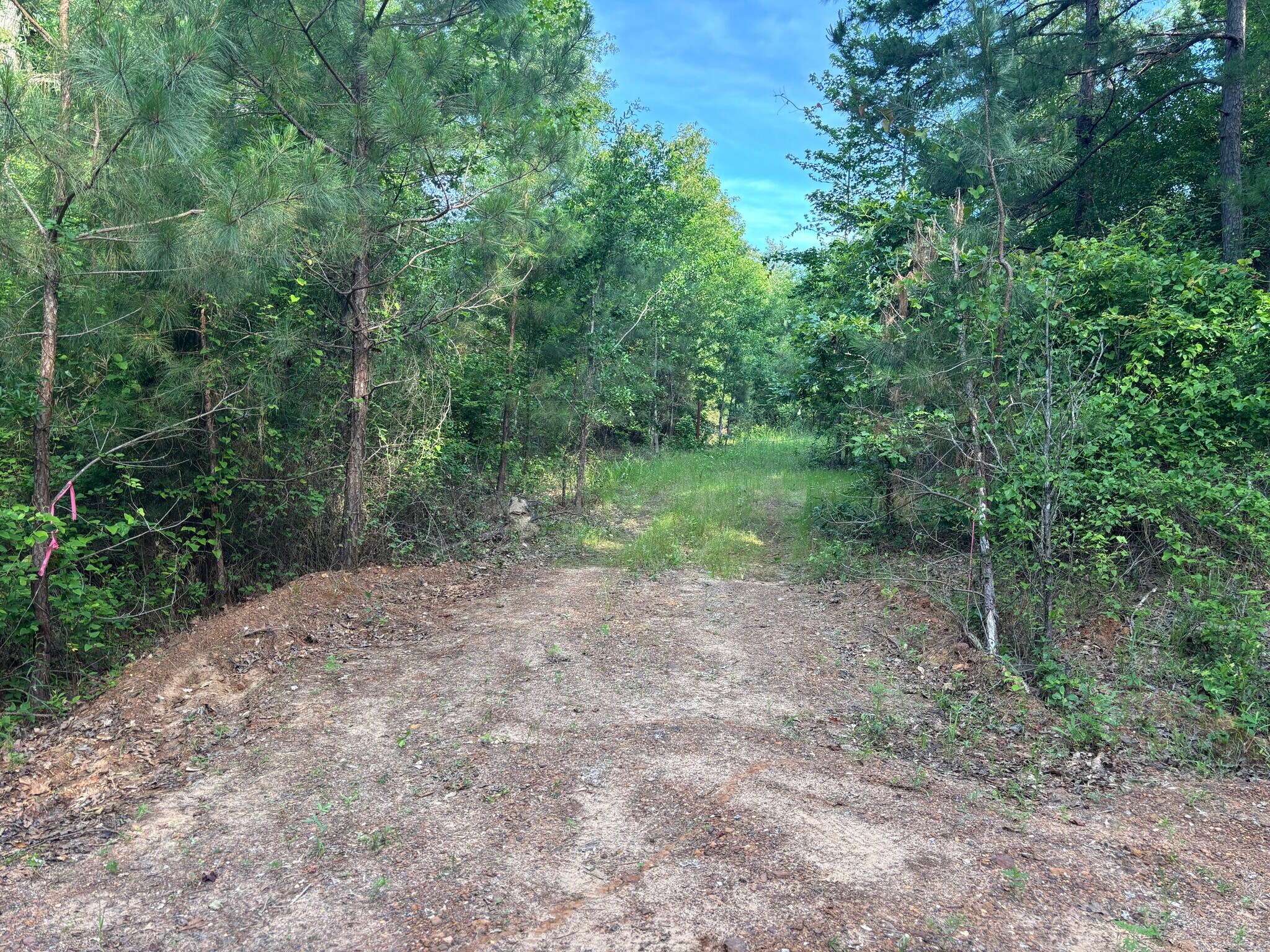 TBD Willie Reed Road, Jefferson, TX for Sale