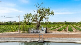 Modesto, CA Agricultural - Albers Rd