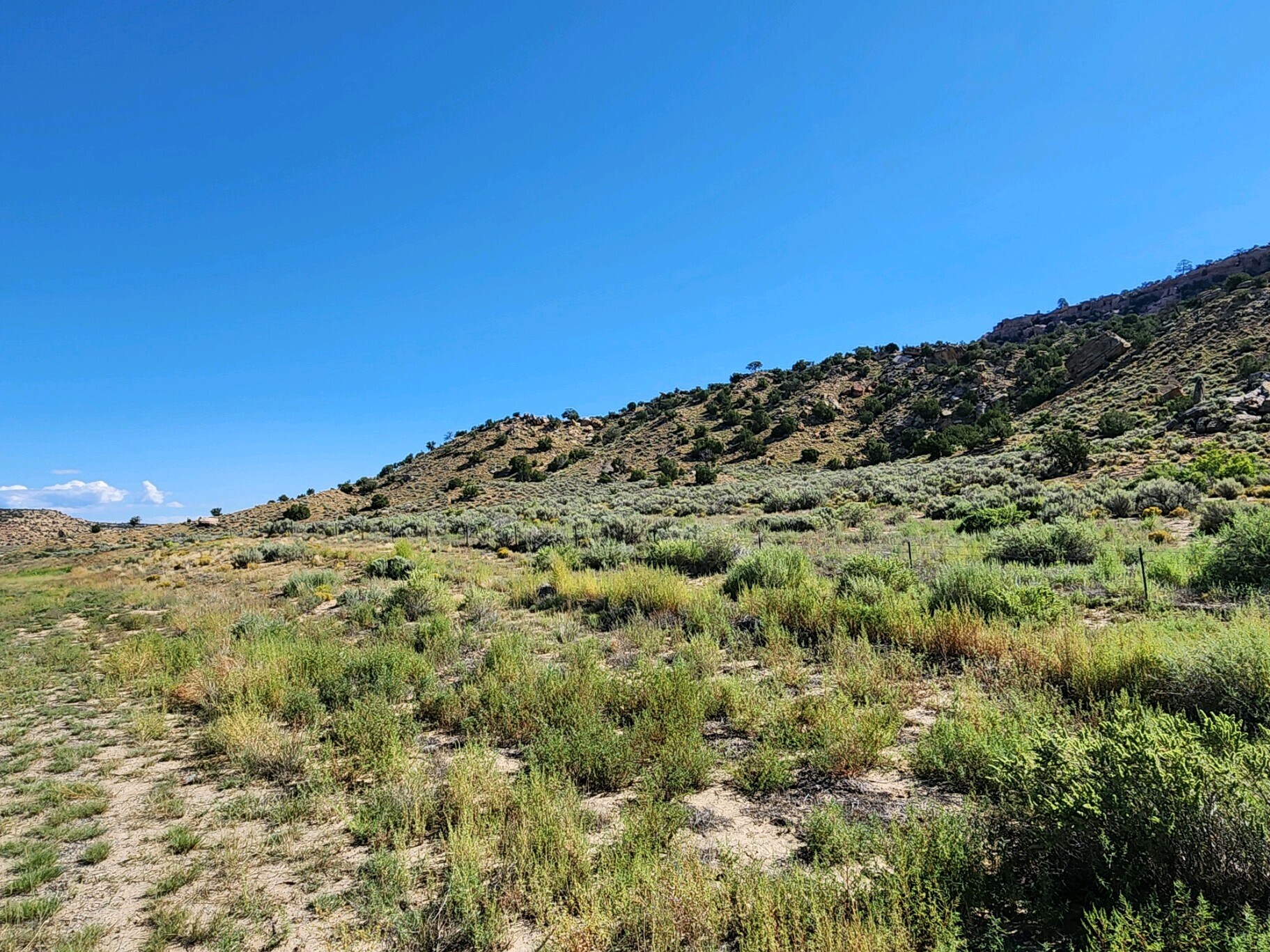 60 ac on Lupton Road, Mentmore, NM for Sale