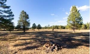 2 4 Fox Wood Rnch Rd