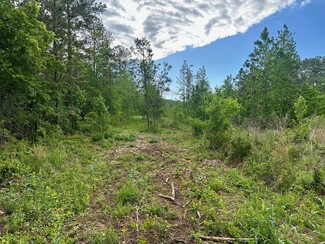 Taylorsville, GA Residential - Satcher Road Rd