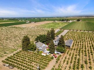 Lodi, CA Agricultural - 9291 E Harney Ln Lodi, CA Agricultural - 9291 E Harney Ln