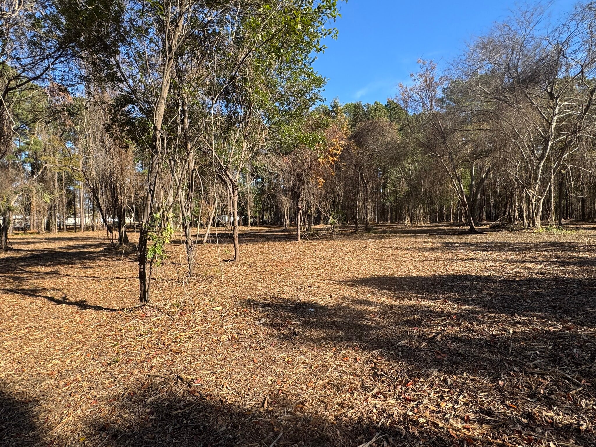 1183 NC-177, Hamlet, NC for Sale