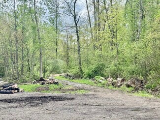 Akron, OH Commercial Land - 1134 E Turkeyfoot Lake Rd Akron, OH Commercial Land - 1134 E Turkeyfoot Lake Rd