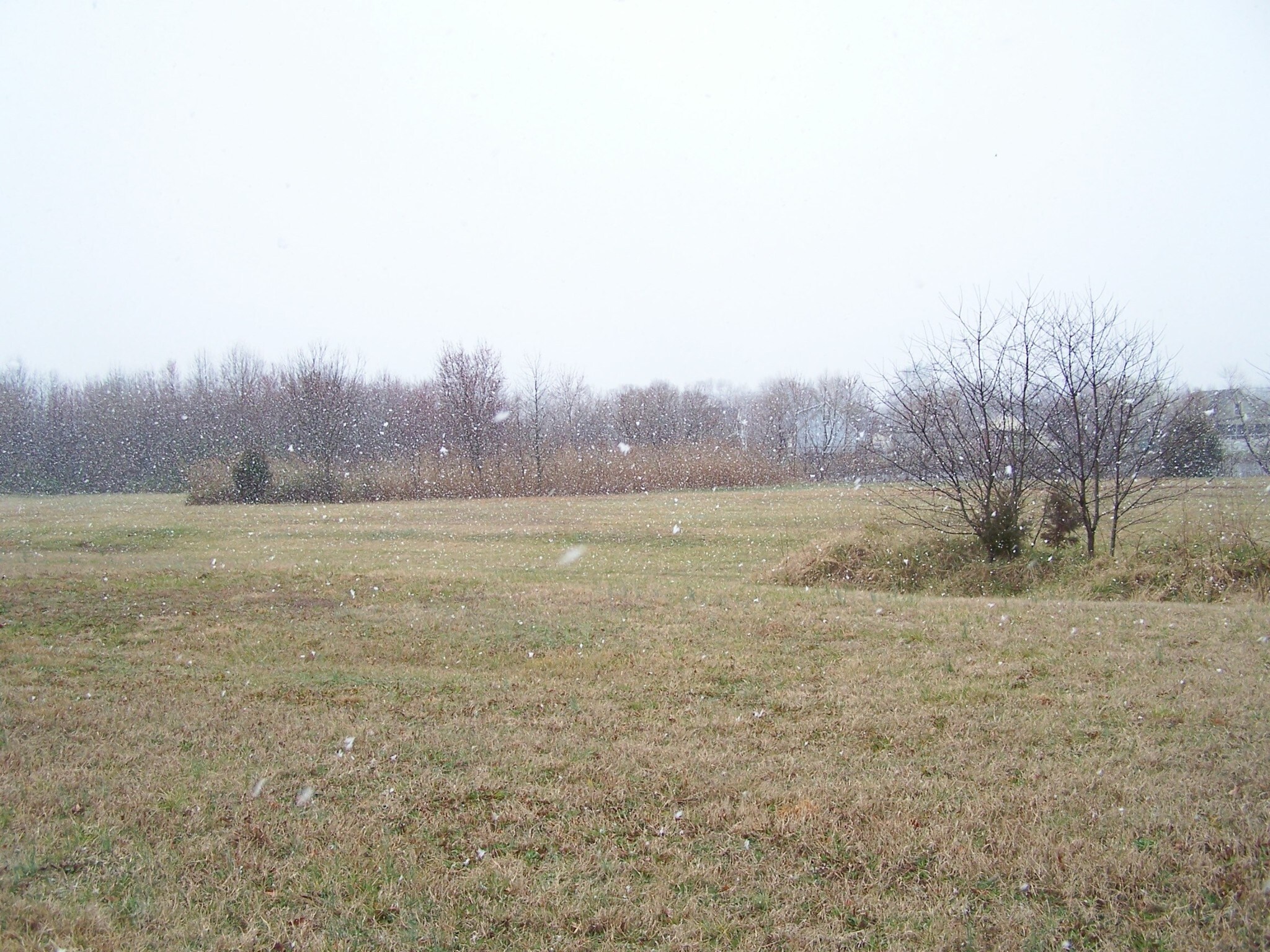 12500 Sussex Hwy, Greenwood, DE for Sale