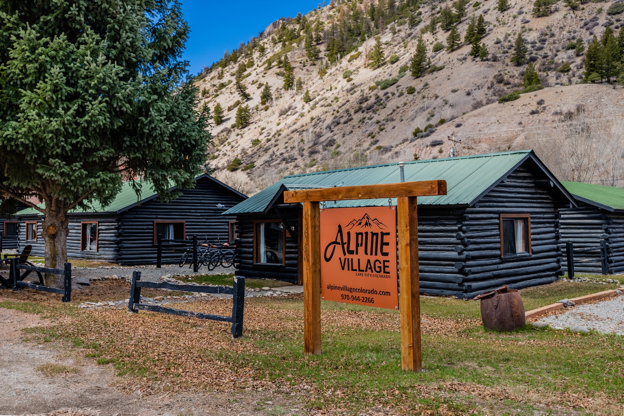 631 N Silver St, Lake City, CO for Sale