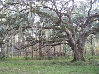 Brooksville, FL Residential - Powell Rd Brooksville, FL Residential - Powell Rd