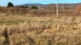 Mansfield, PA Residential Land - 54 Nadalini Dr