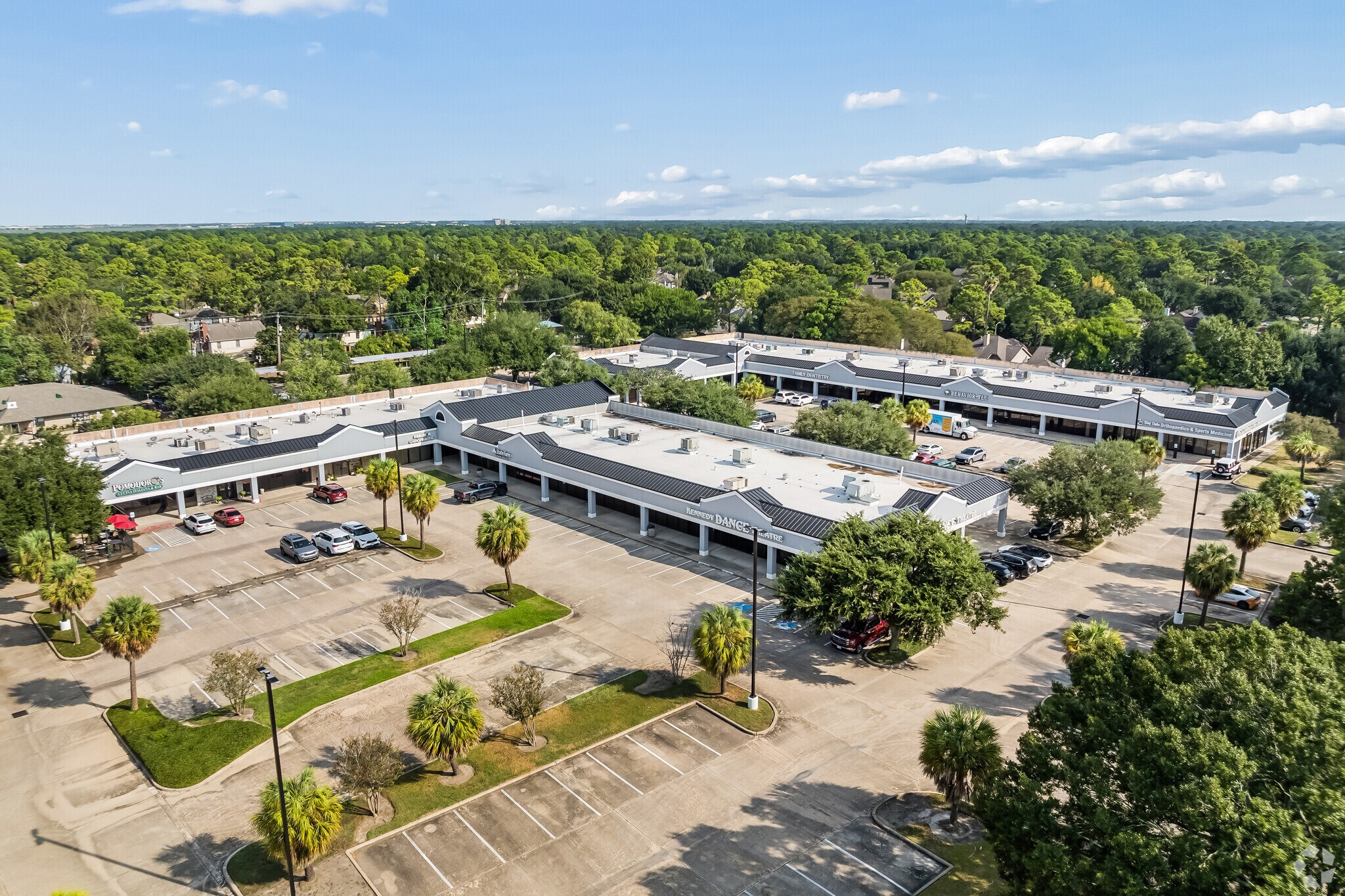 1001 Pineloch Dr, Houston, TX for Rent
