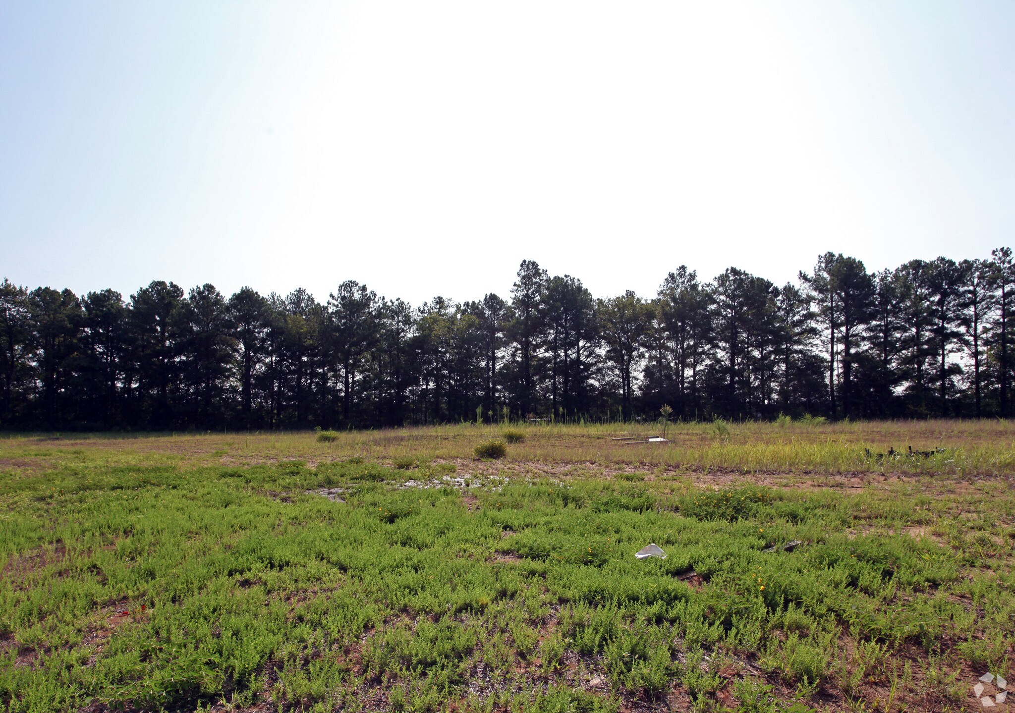 12 Nolan Cv Jackson, TN 38305 Land Property for Sale on