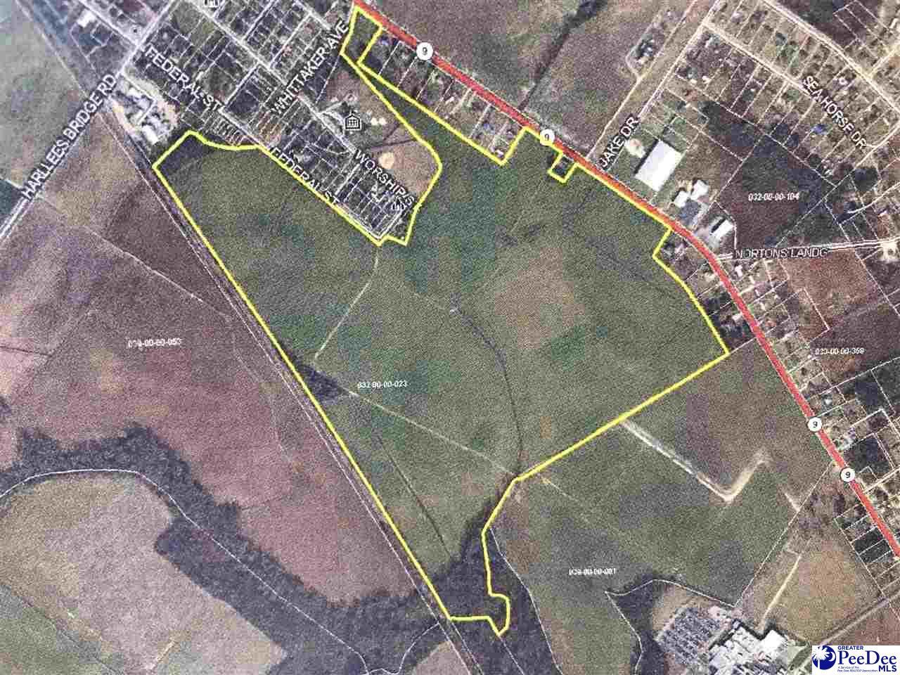 000 West 9 Hwy, Dillon, SC for Sale