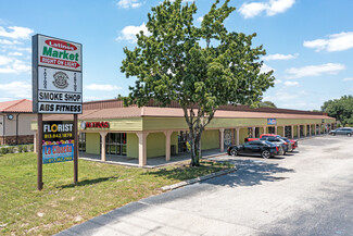 Valrico, FL Retail - 131 N Mount Carmel Rd