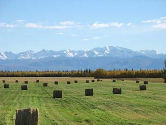 Delta Junction, AK Agricultural - Sawmill Creek Rd