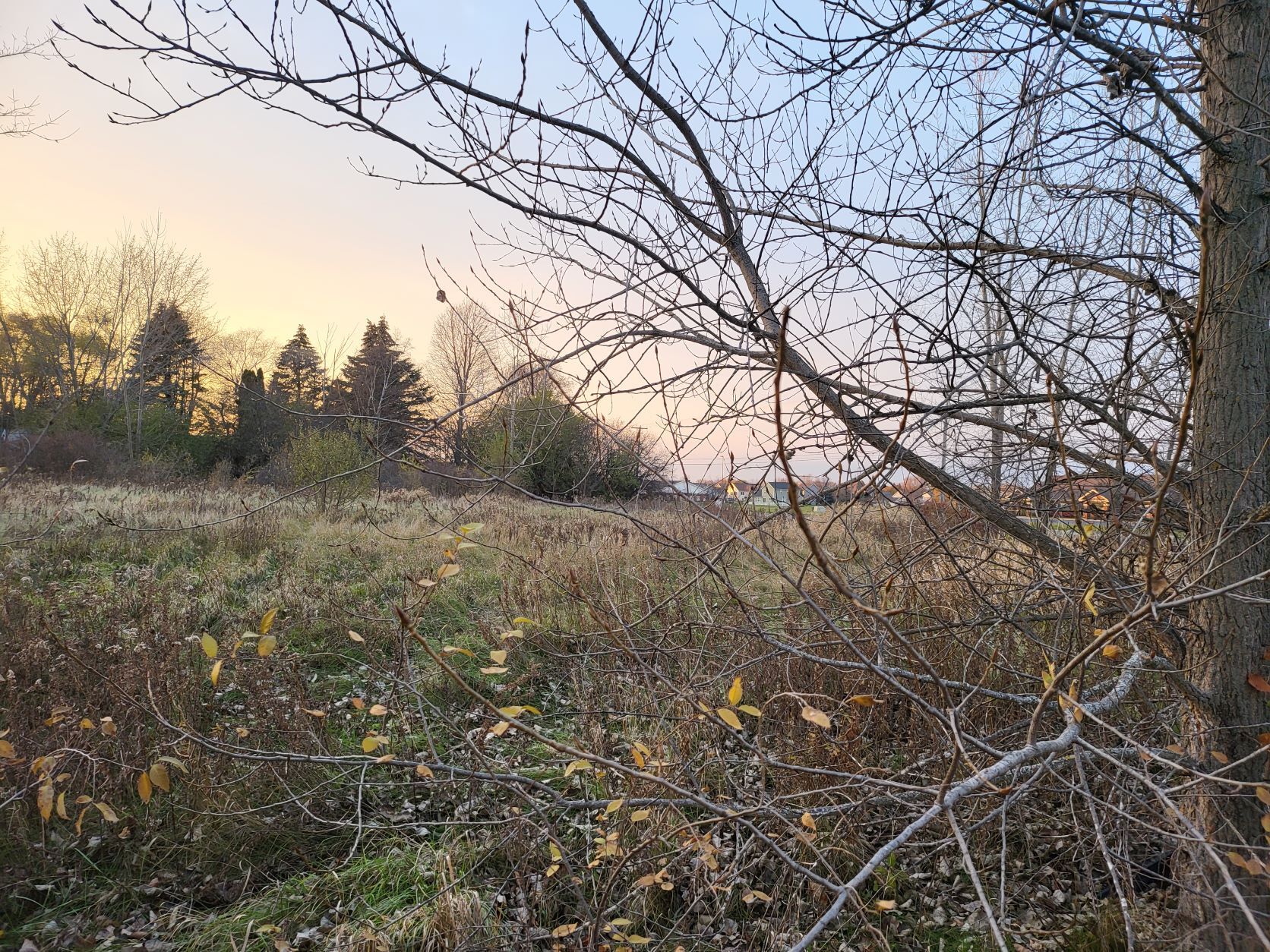 TBD East Broomfield Road, Mount Pleasant, MI for Sale