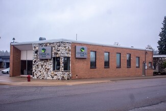Belding, MI Office, Retail - 102 W Main St