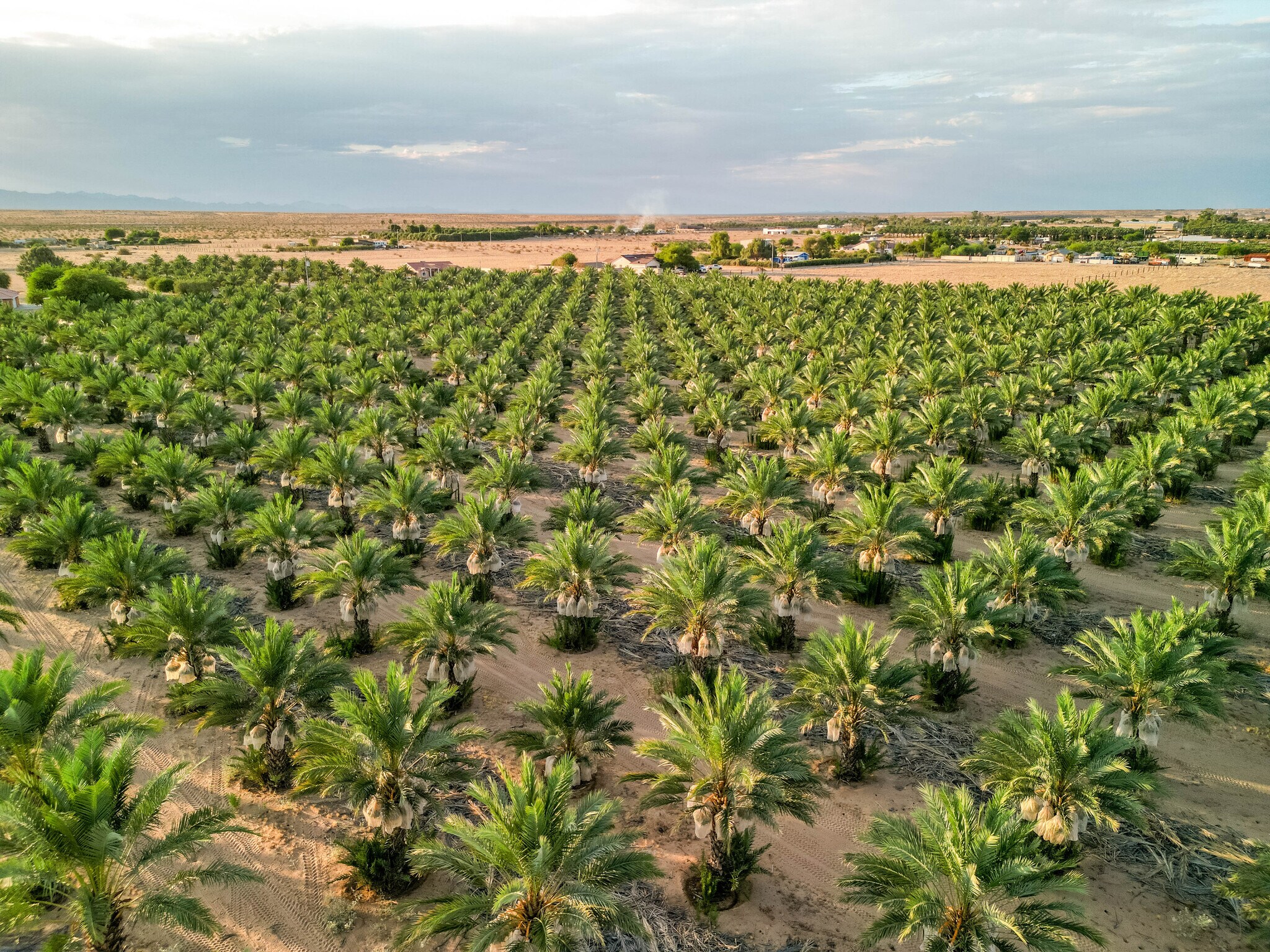 17587 S AVE 3 1/2 E, Yuma, AZ for Sale