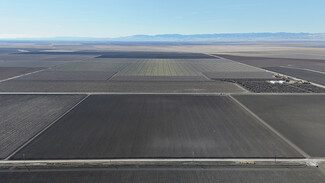 Tranquillity, CA Agricultural - W. Martin Avenue