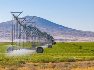 Ravendale, CA Agricultural - 650 Tuledad Rd