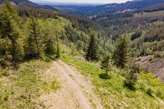 Washougal, WA Commercial - 0 Snag Mountain Road