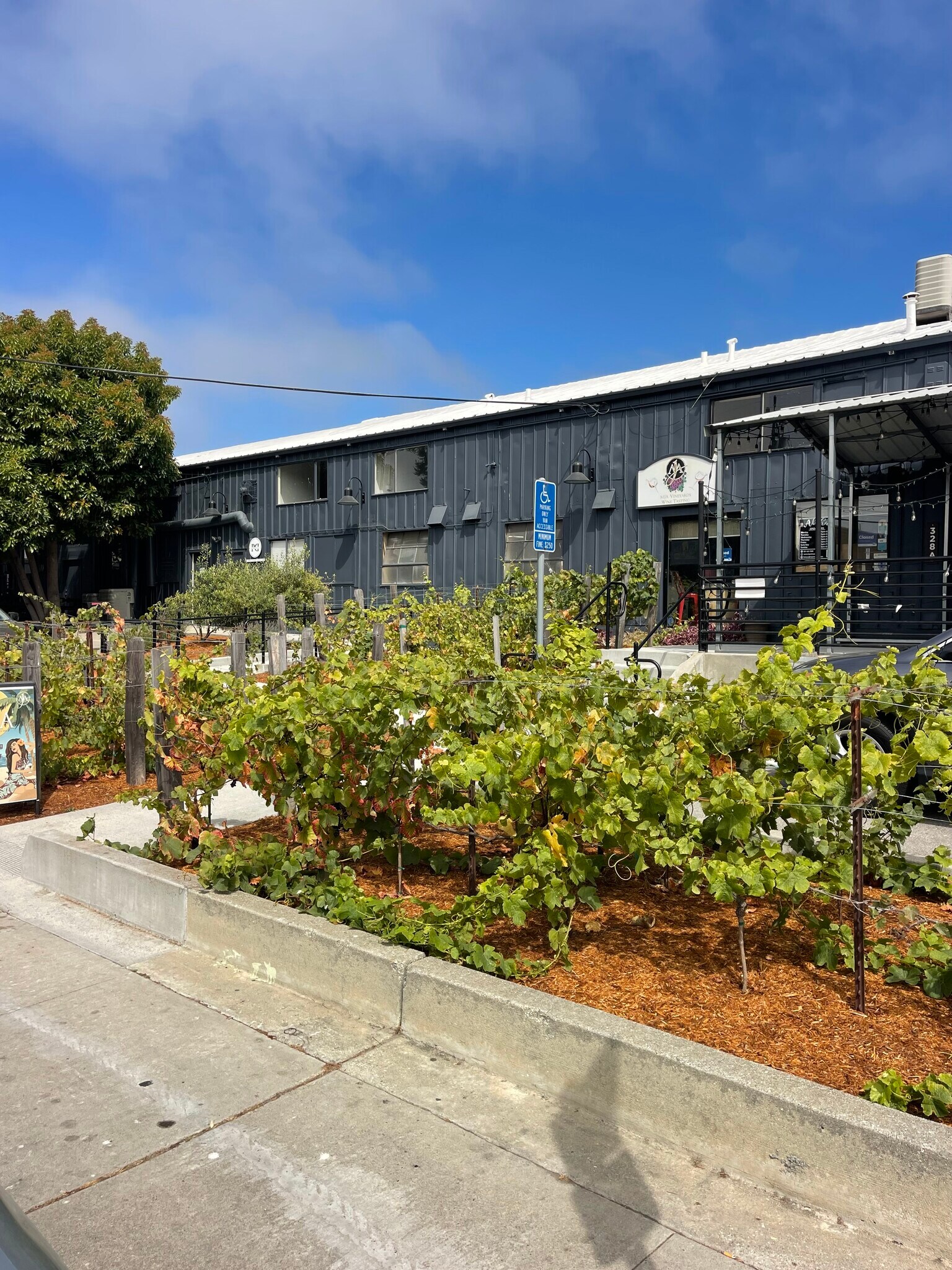 328-334 Ingalls St, Santa Cruz, CA for Rent