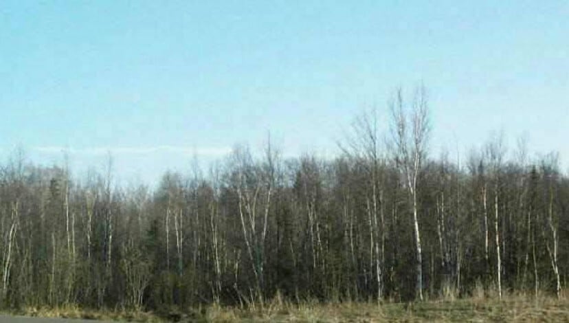 Lot 2 Airpark Blvd, Calumet, MI for Sale
