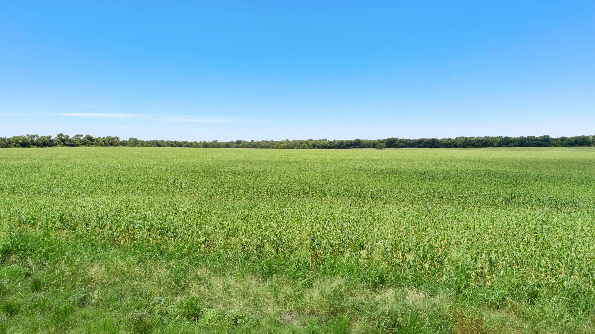CR-1067, Greenville, TX for Sale