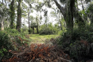 Savannah, GA Residential Land - 10602 White Bluff Rd