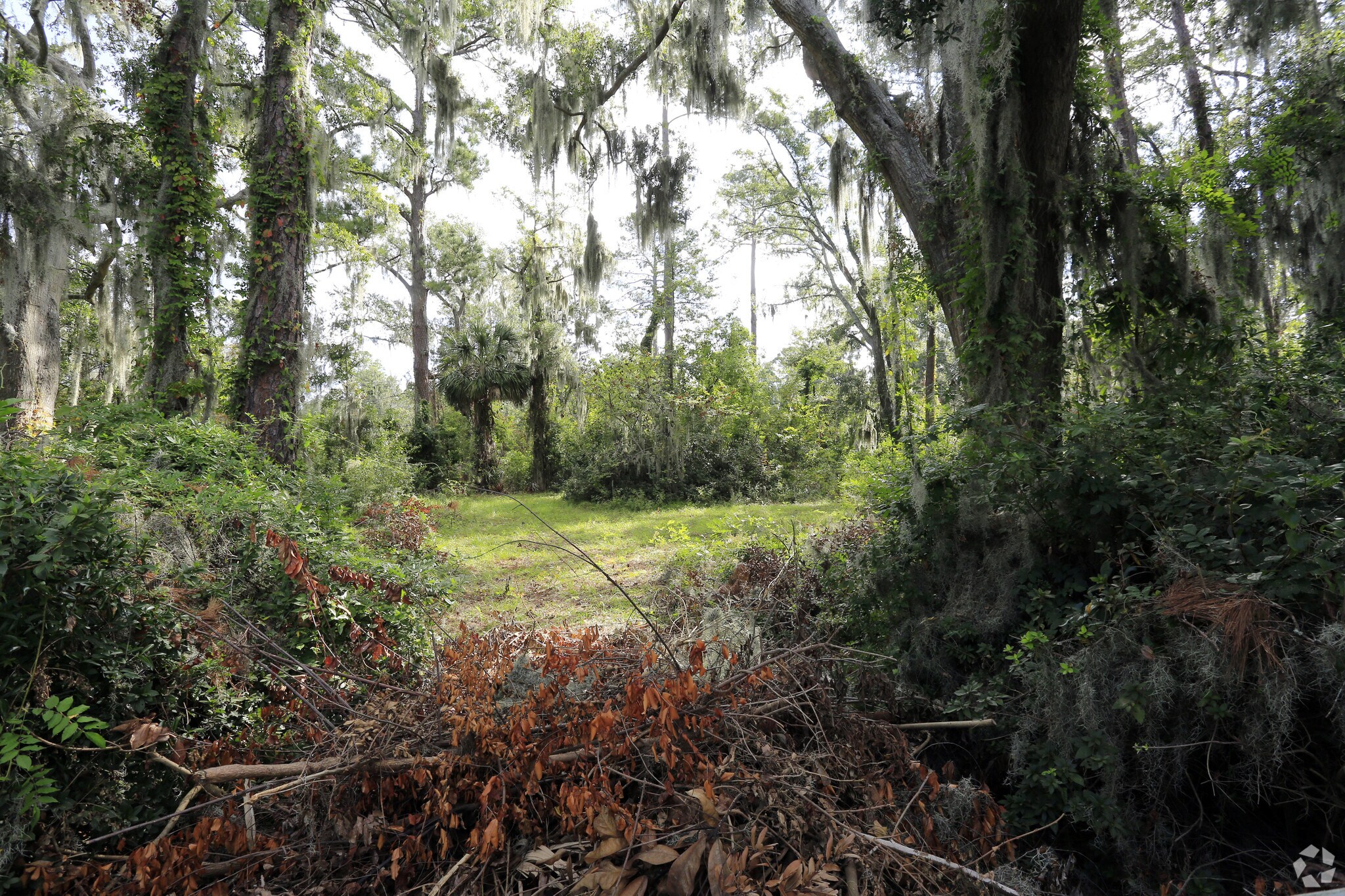 10602 White Bluff Rd, Savannah, GA for Sale