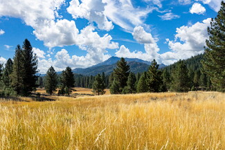 Portola, CA Agricultural - Meadow Way