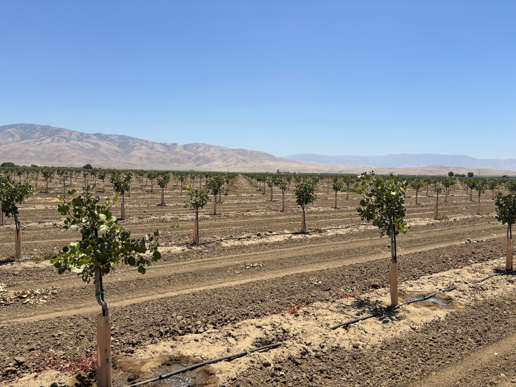 4531 Rancho Road, Arvin, CA for Sale