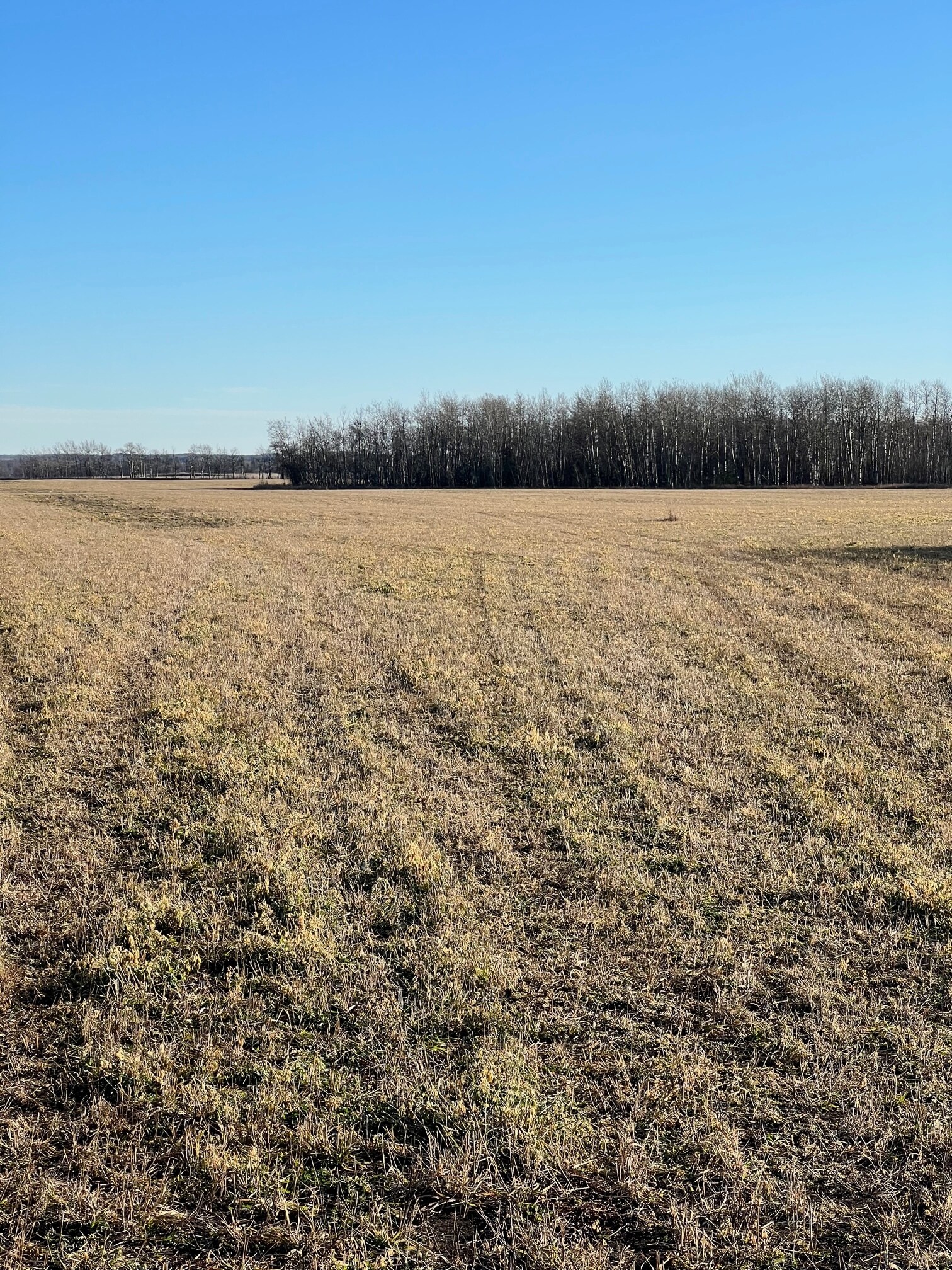 NW-28-71-5-W6, Grande Prairie, AB for Sale