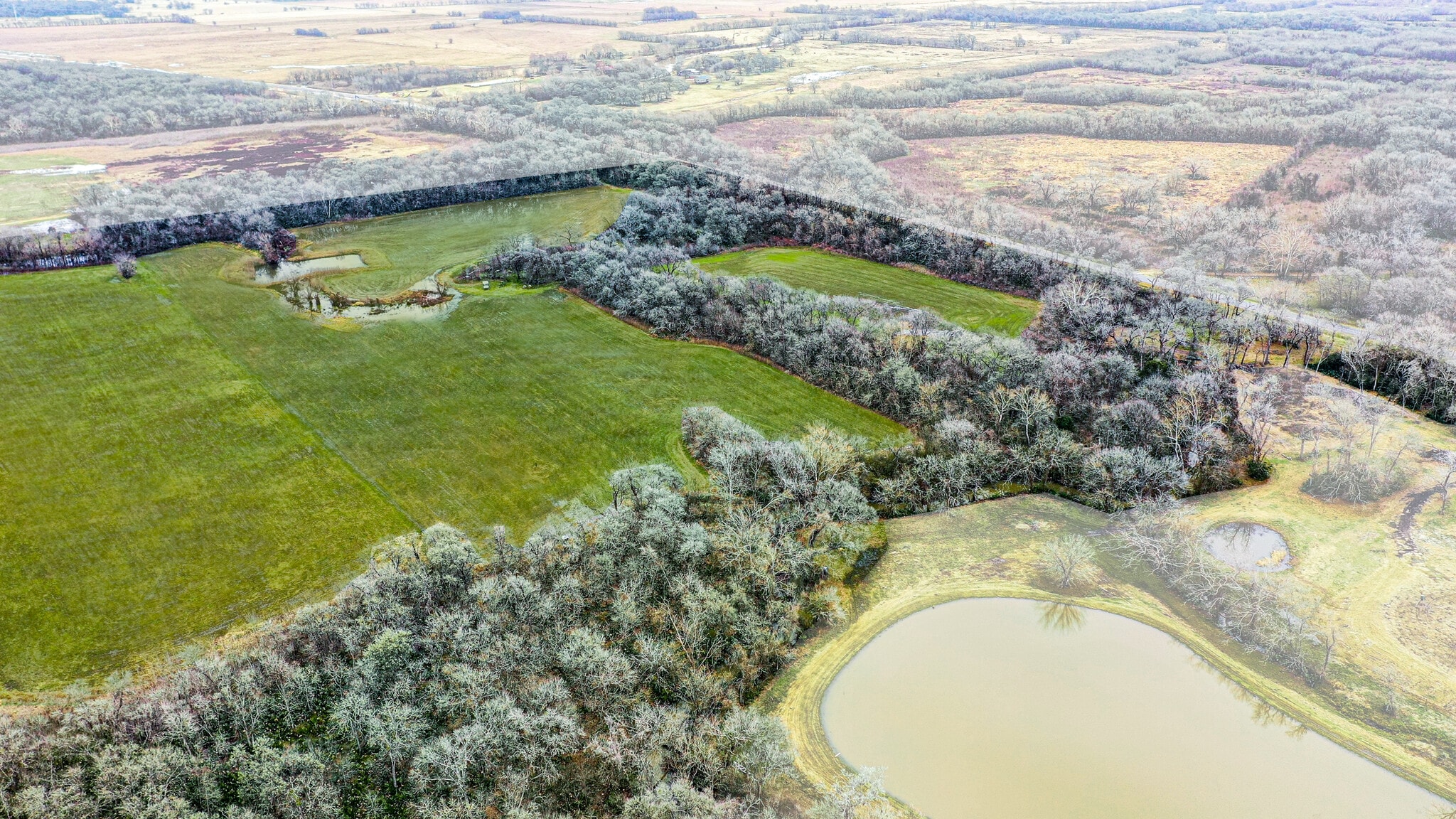 2602 N Fm 2429, Bellville, TX for Sale