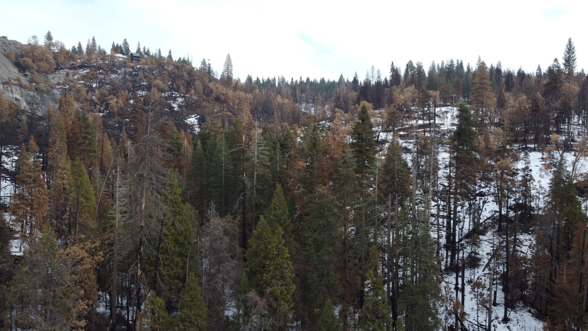 0 Woodland Road Rd, Shaver Lake, CA for Sale