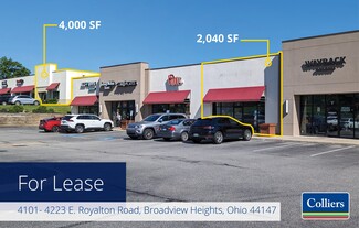 Broadview Heights, OH Retail - 4101-4223 E Royalton Rd