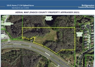 Land O Lakes, FL Commercial - State Road 54