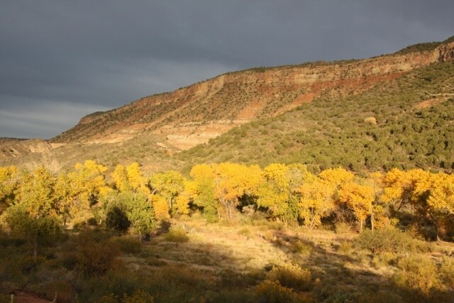 Kolob, Virgin, UT for Sale