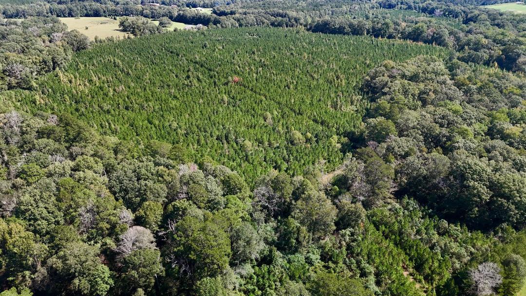 00 COUNTY LINE ROAD, Summit, MS for Sale