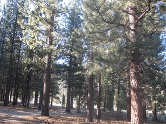 Big Bear City, CA Residential - 2818 Erwin Ranch Rd